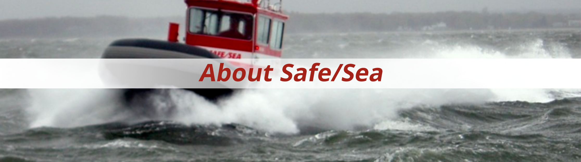 about_safesea_new2 about_safesea_new2